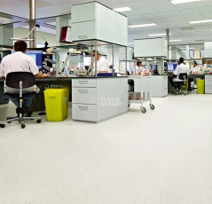 Forbo SureStep  Fast Fit 6171082 snow фото 2 | FLOORDEALER